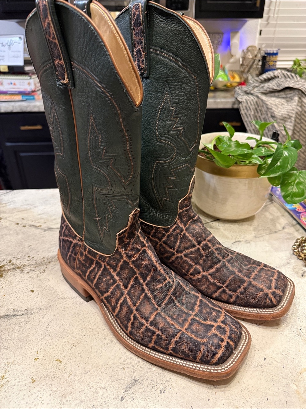 Anderson Bean Brown Textured Foot with Dark Green Western Boots size 11D